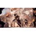 Battlefield 6 Standard Edition PS5
