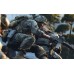 Call of Duty: Modern Warfare 4 PS5 *ПРЕДЗАКАЗ*